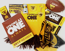 Hawthorn Football Club